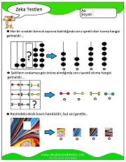 Zeka Gelişim Testleri